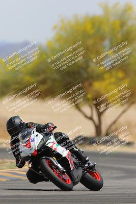 media/Apr-12-2025-Race Pace (Sat) [[9230add55f]]/Vested/6-Turn 4 Tree of Life (115pm)/